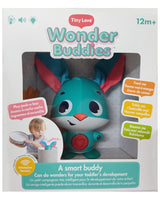 Tiny Love Wonder Buddies Thomas Interactive Toy 12M+