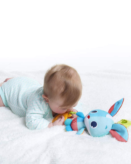 Thomas the Rabbit Vibration Travel Toy Tiny Love