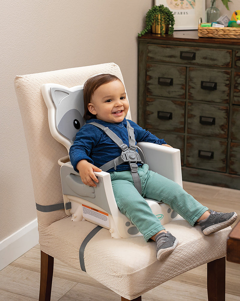 Infantino Chaise haute Evolutive 4 en 1 - Raton Laveur