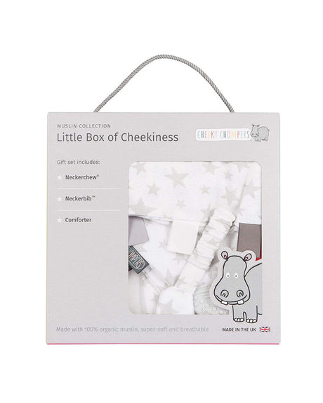 Coffret cadeau bébé en mousseline Silver Stars