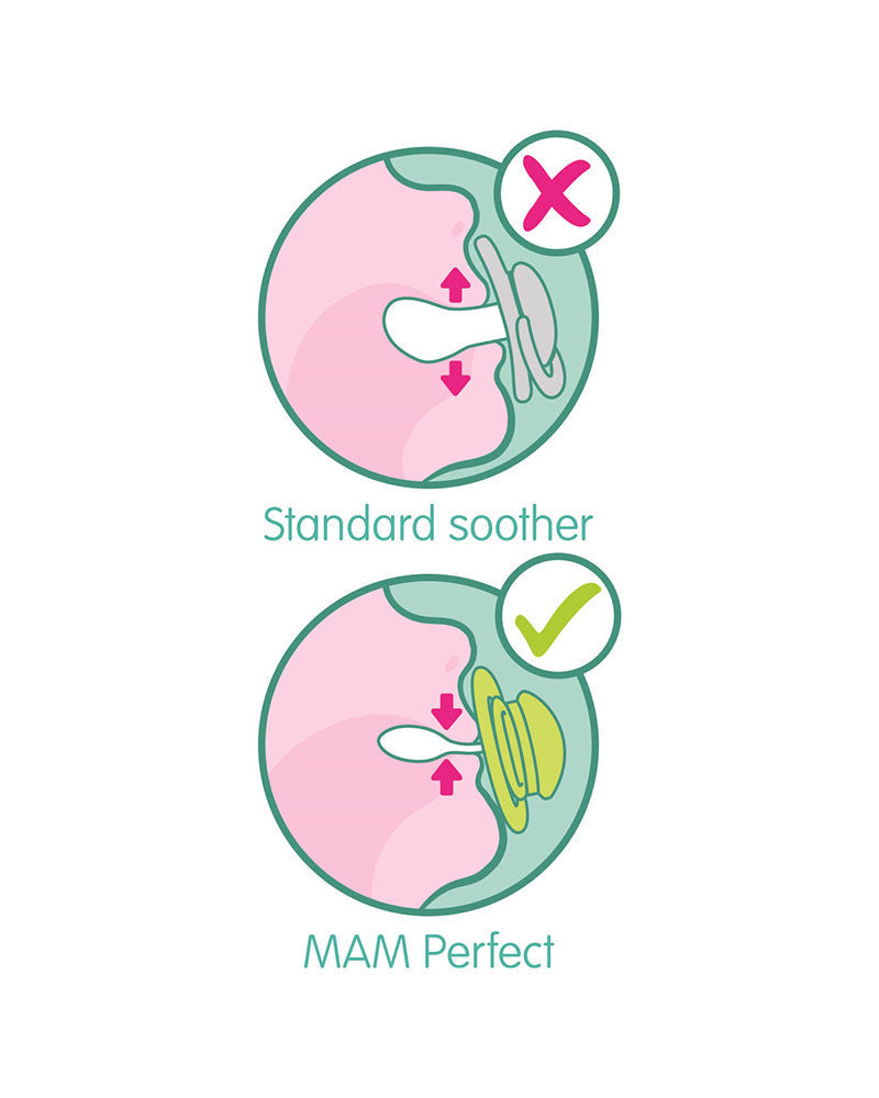 Sucette MAM Perfect 0-6m - loutre de mer